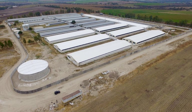 Aerial view of large agricultural greenhouses and a white storage dome in rural farmland